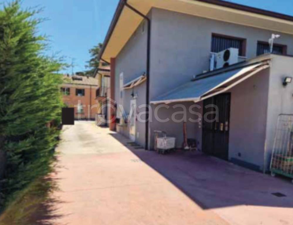 immagine annuncio 4 di 12