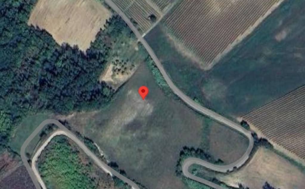 immagine annuncio 9 di 14