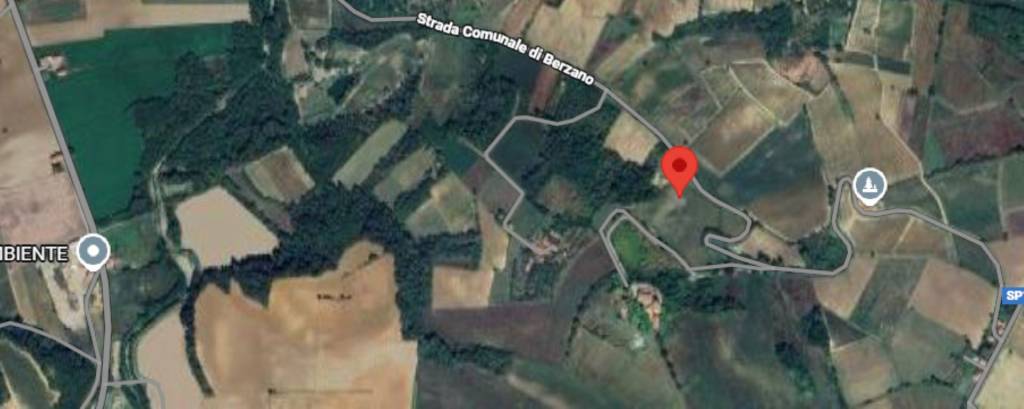 immagine annuncio 11 di 14