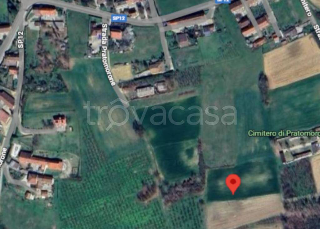 immagine annuncio 1 di 12