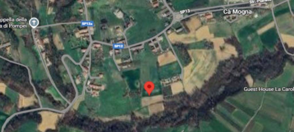 immagine annuncio 2 di 12