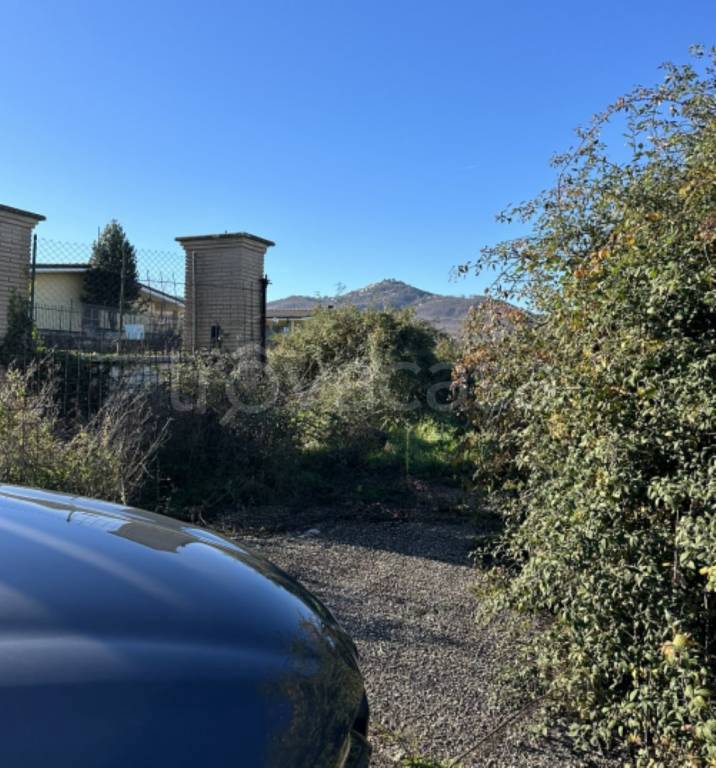 immagine annuncio 2 di 14