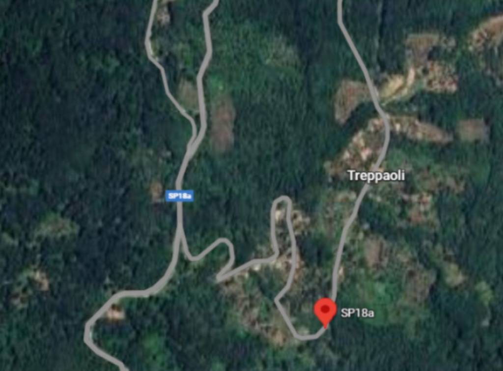 immagine annuncio 4 di 14