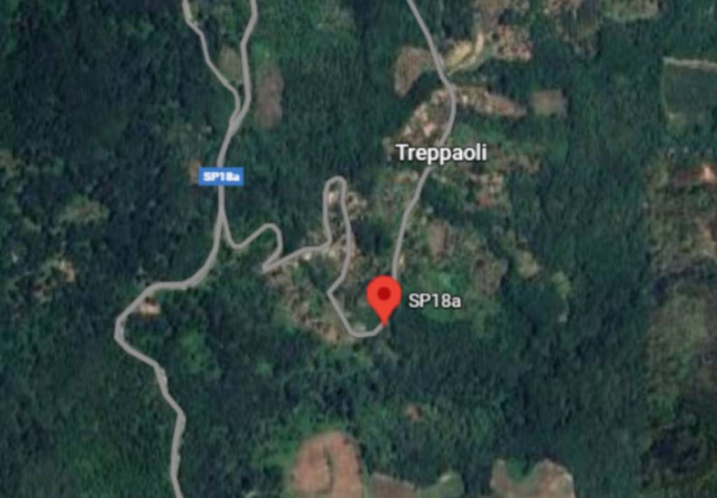 immagine annuncio 5 di 14