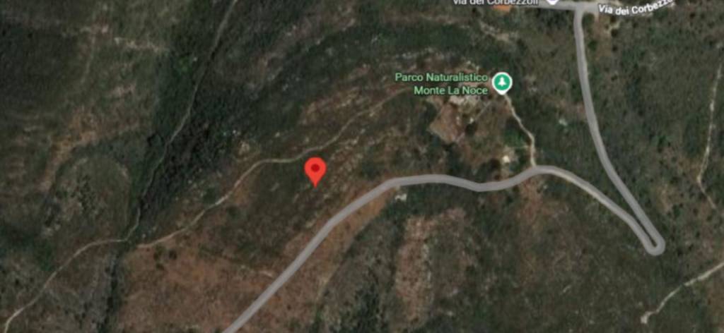 immagine annuncio 3 di 13