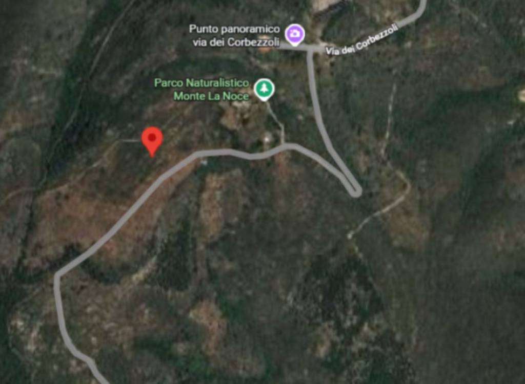 immagine annuncio 4 di 13