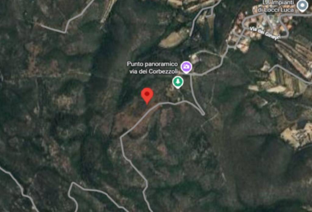 immagine annuncio 5 di 13