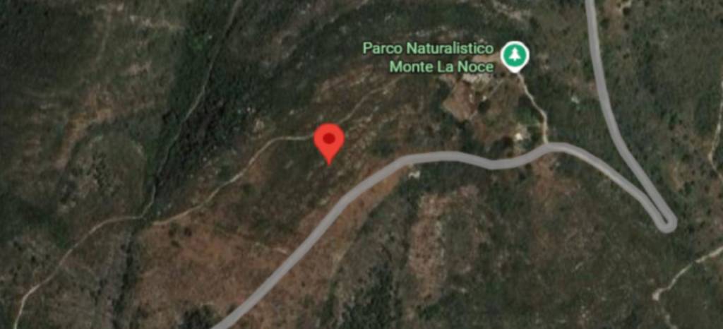 immagine annuncio 6 di 13