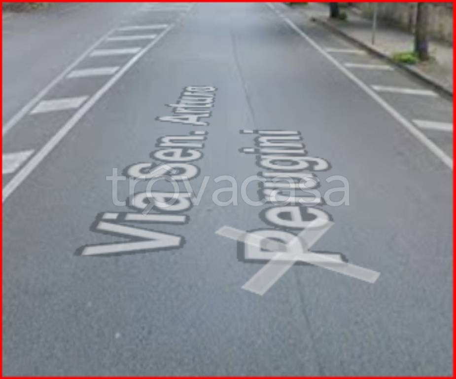 immagine annuncio 5 di 12