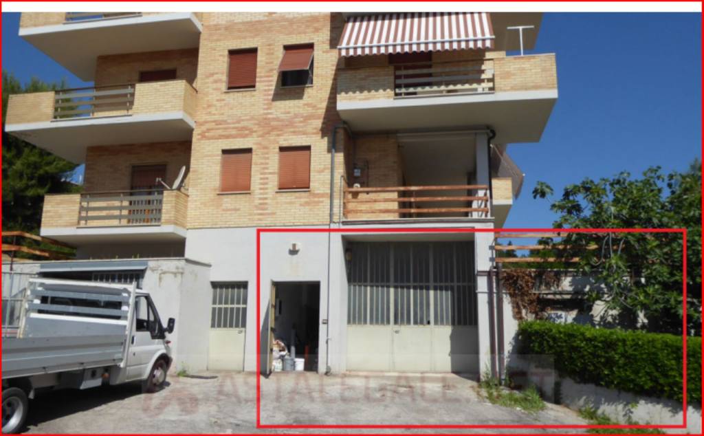 immagine annuncio 2 di 12