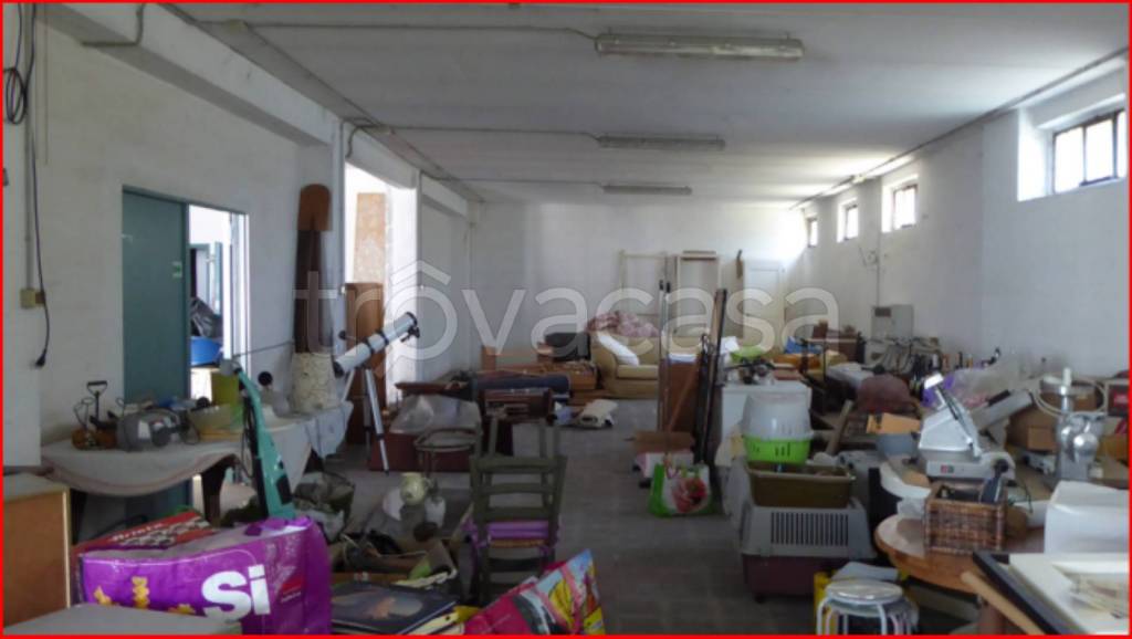 immagine annuncio 3 di 12