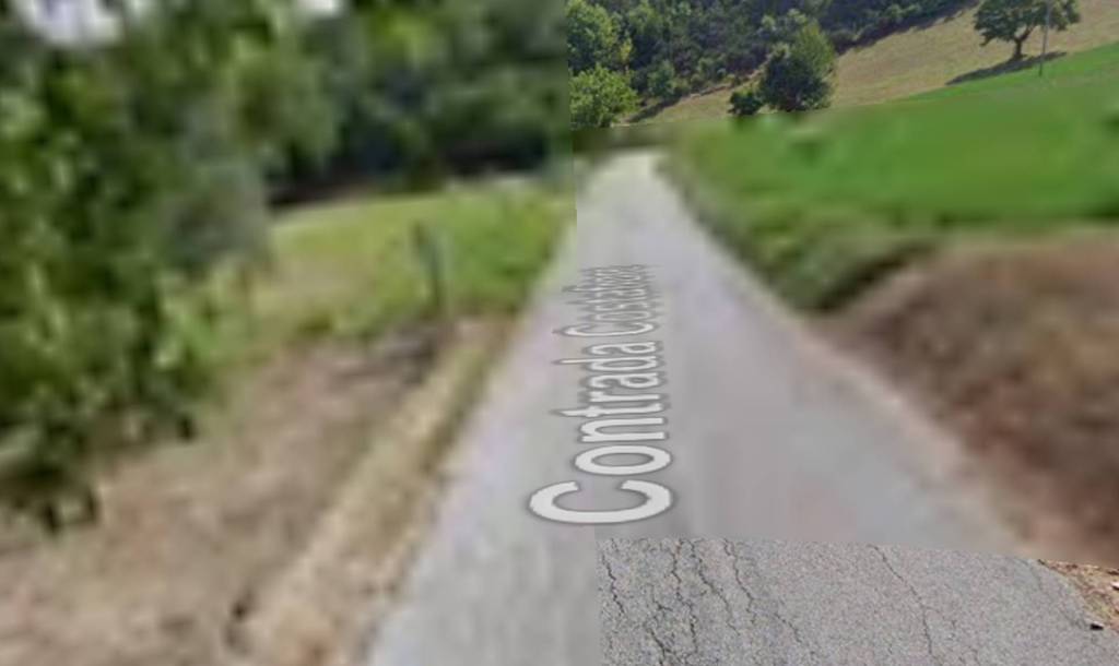 immagine annuncio 11 di 12