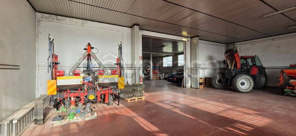 immagine annuncio 14 di 15