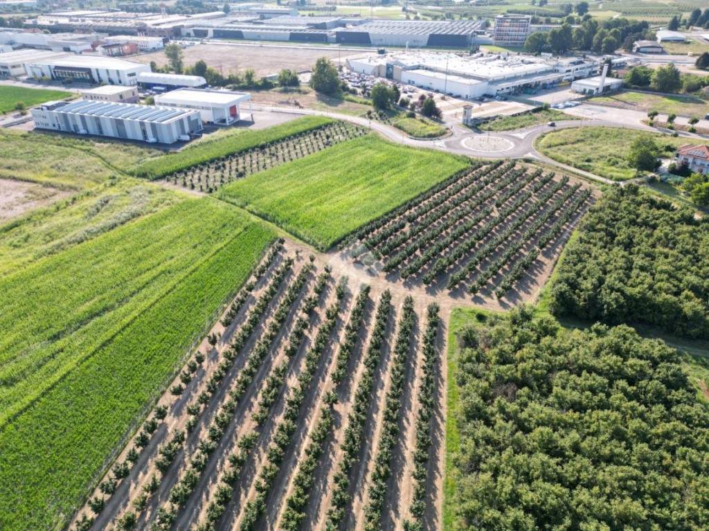 immagine annuncio 12 di 15