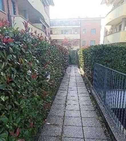 immagine annuncio 5 di 15