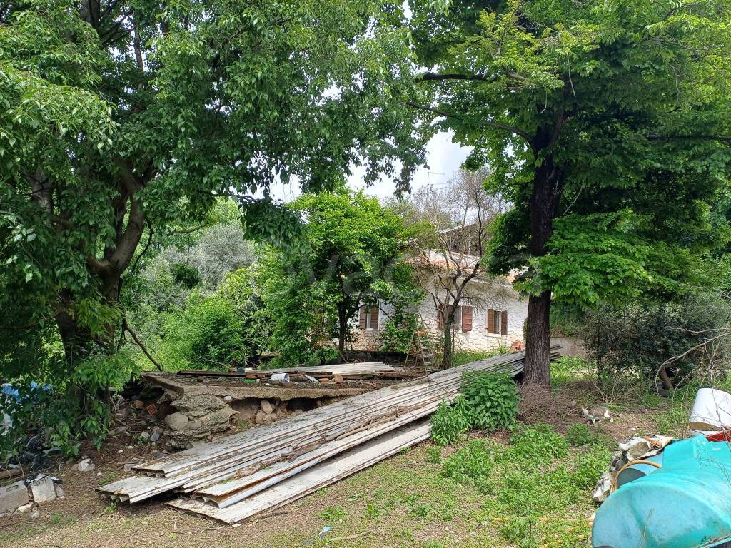 immagine annuncio 3 di 12