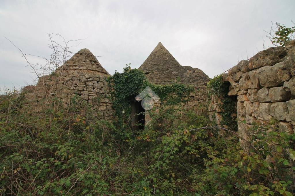 immagine annuncio 2 di 11