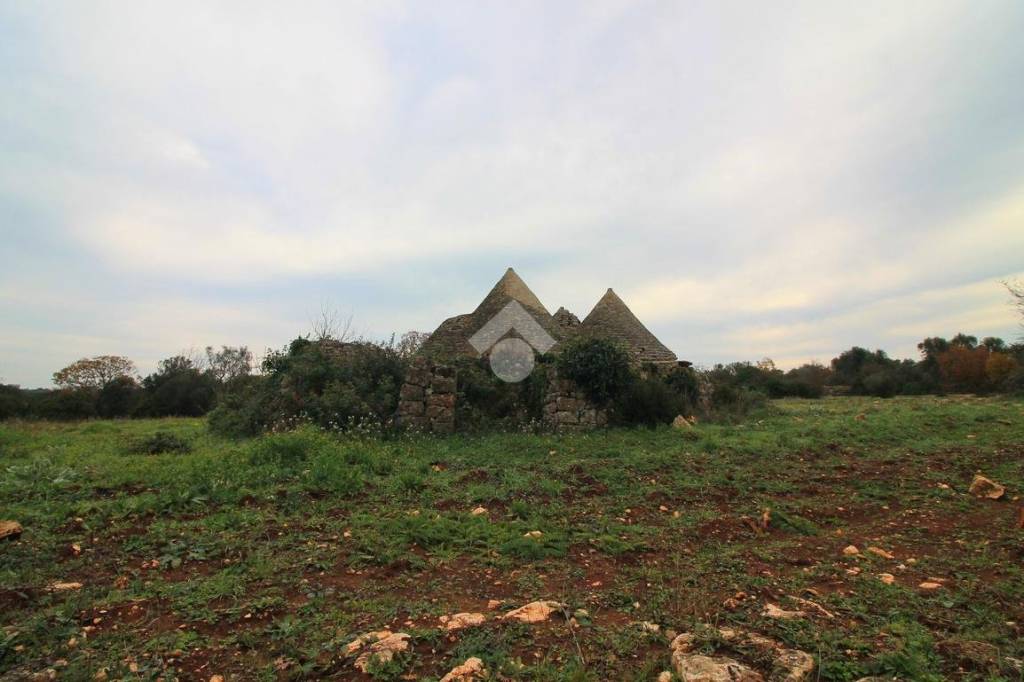 immagine annuncio 7 di 11