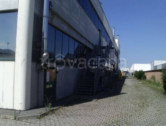 immagine annuncio 1 di 14