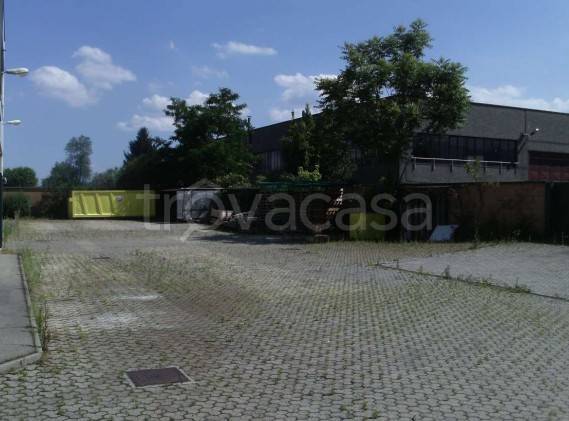 immagine annuncio 3 di 14