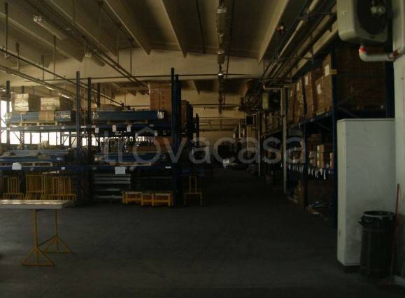 immagine annuncio 4 di 14