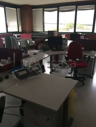 immagine annuncio 6 di 14