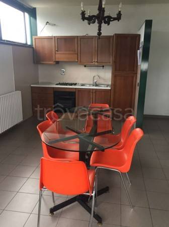 immagine annuncio 10 di 14