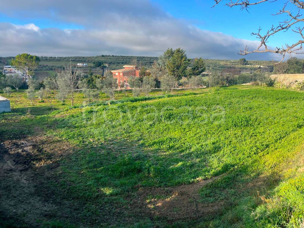 immagine annuncio 2 di 9