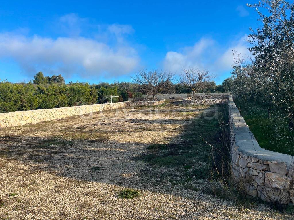 immagine annuncio 4 di 9