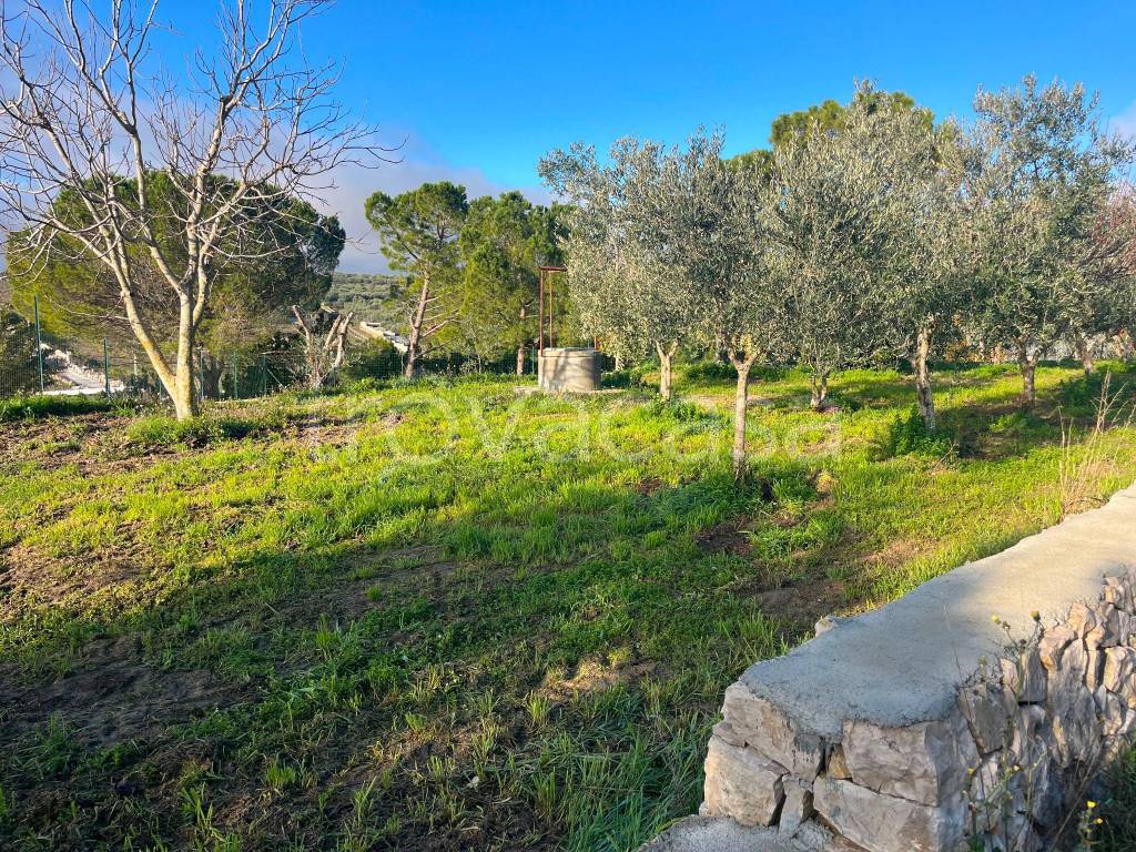 immagine annuncio 5 di 9