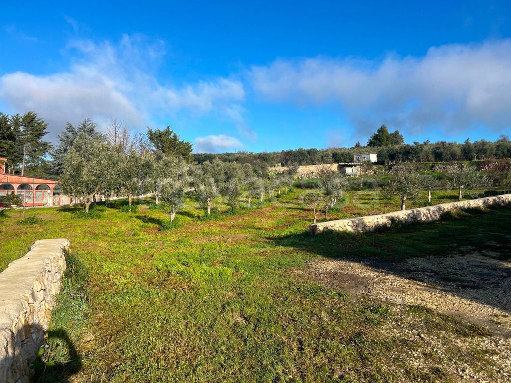 immagine annuncio 6 di 9