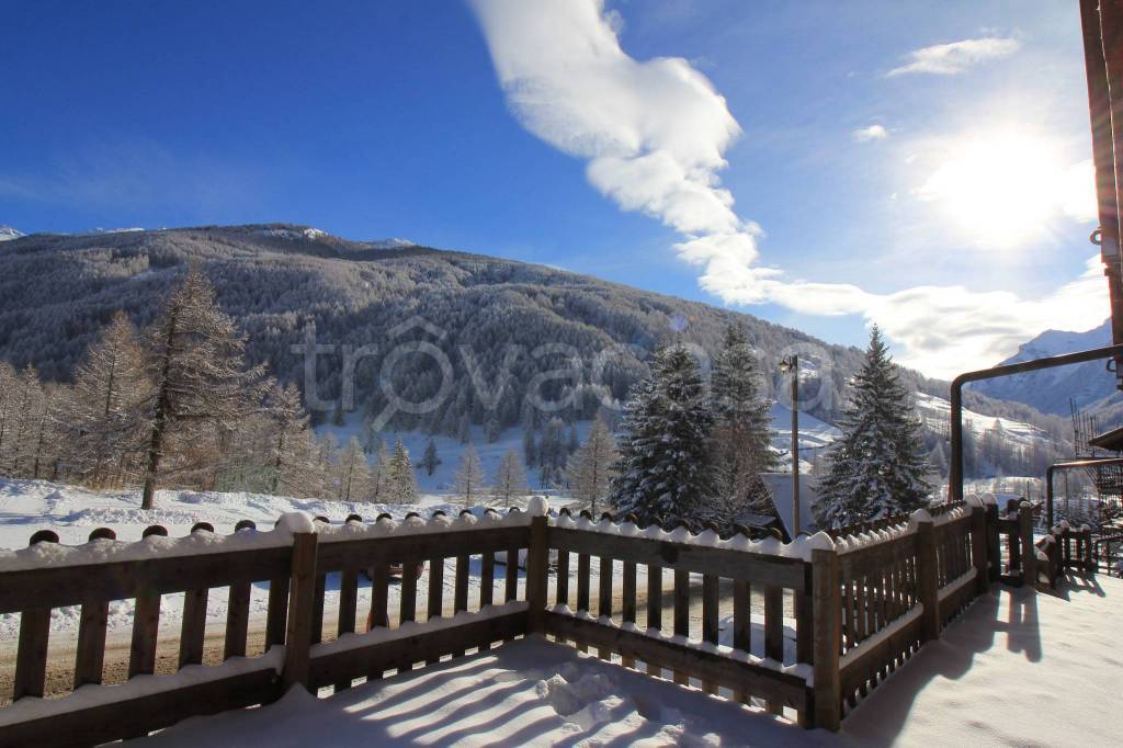 immagine annuncio 8 di 12