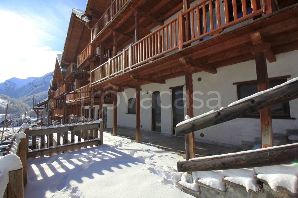 immagine annuncio 2 di 12