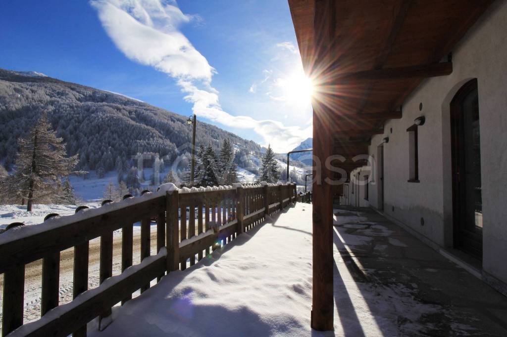 immagine annuncio 9 di 12