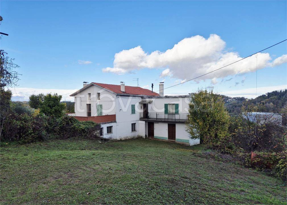 immagine annuncio 0 di 15