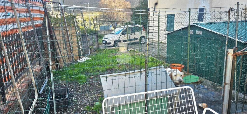 immagine annuncio 13 di 15