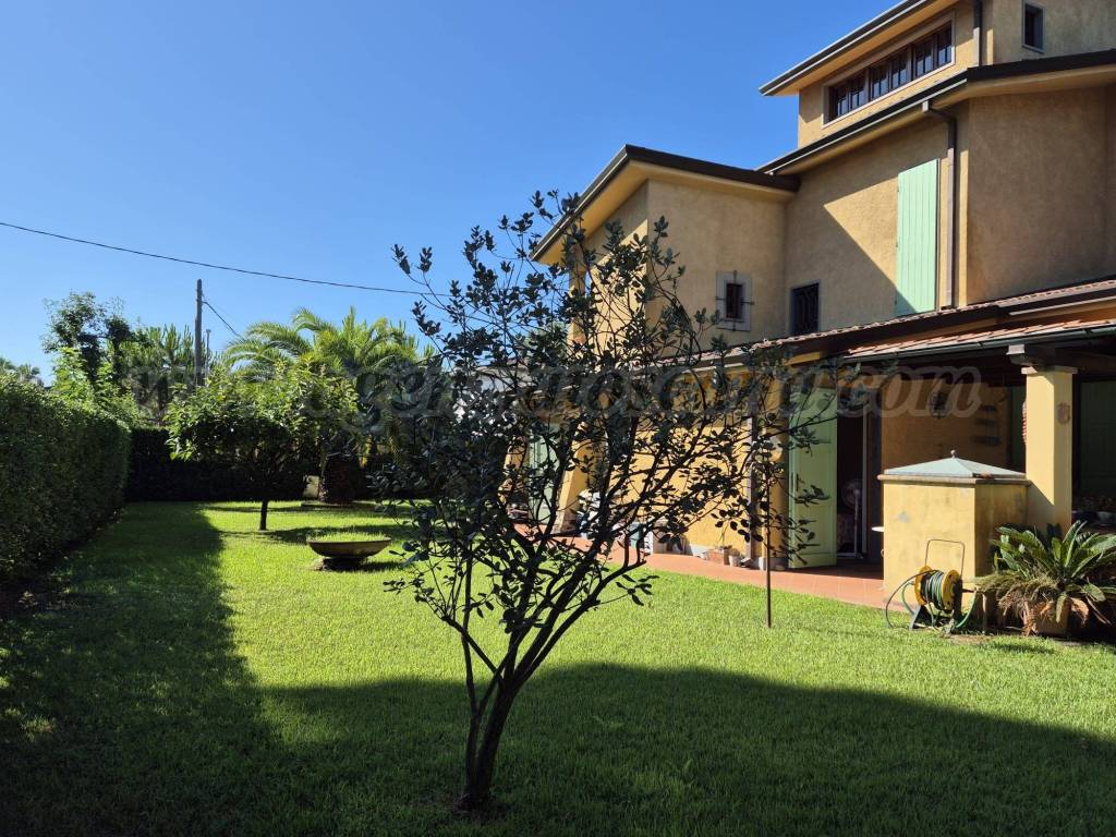 immagine annuncio 3 di 13