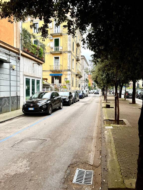 immagine annuncio 3 di 9