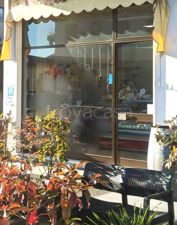 immagine annuncio 1 di 2