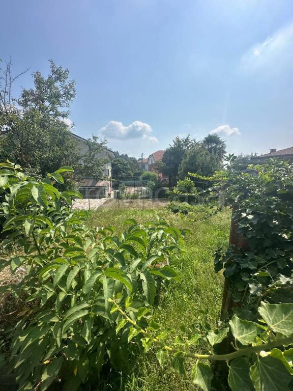 immagine annuncio 1 di 13