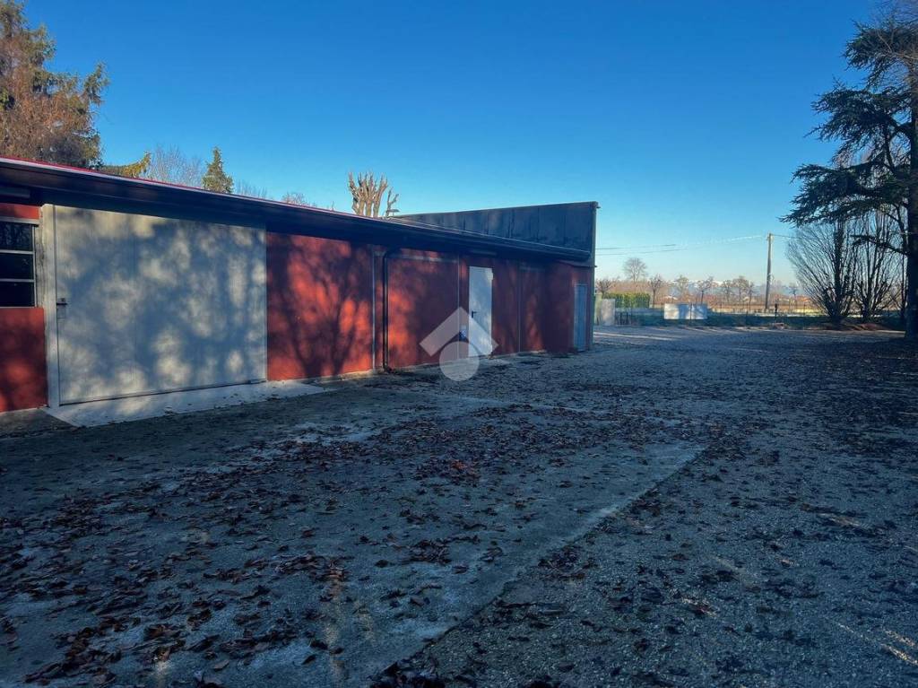 immagine annuncio 10 di 15