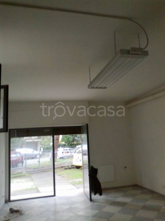 immagine annuncio 4 di 8