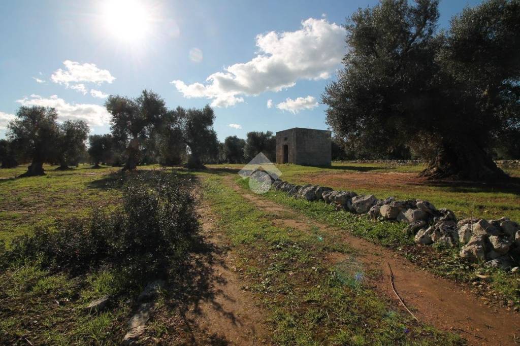 immagine annuncio 7 di 14