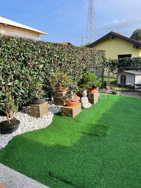 immagine annuncio 9 di 15