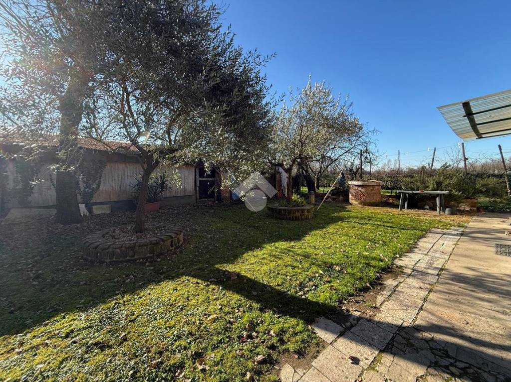 immagine annuncio 2 di 12