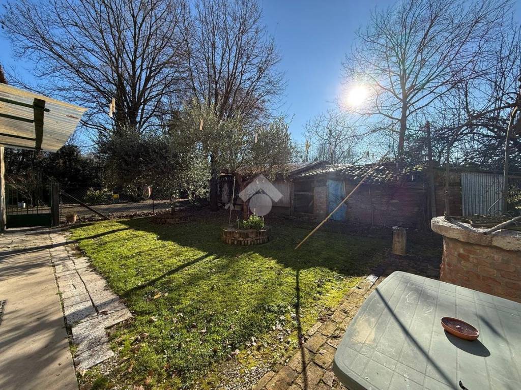 immagine annuncio 3 di 12