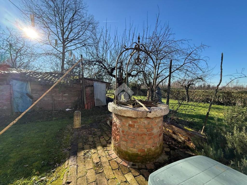 immagine annuncio 4 di 12