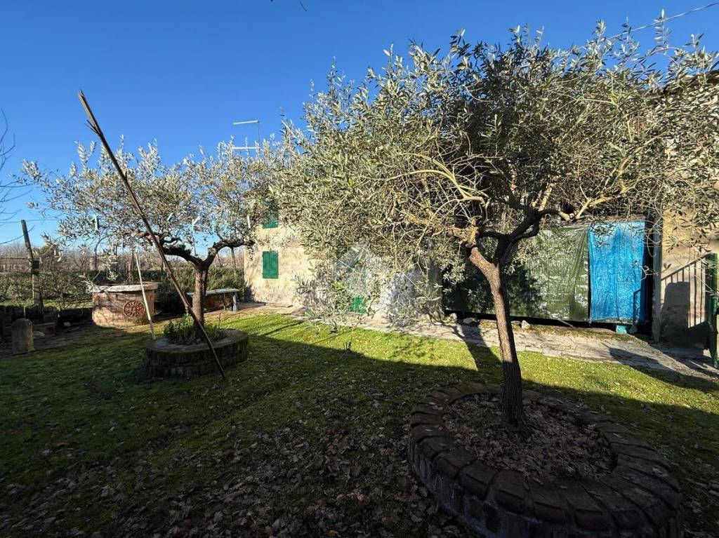 immagine annuncio 5 di 12