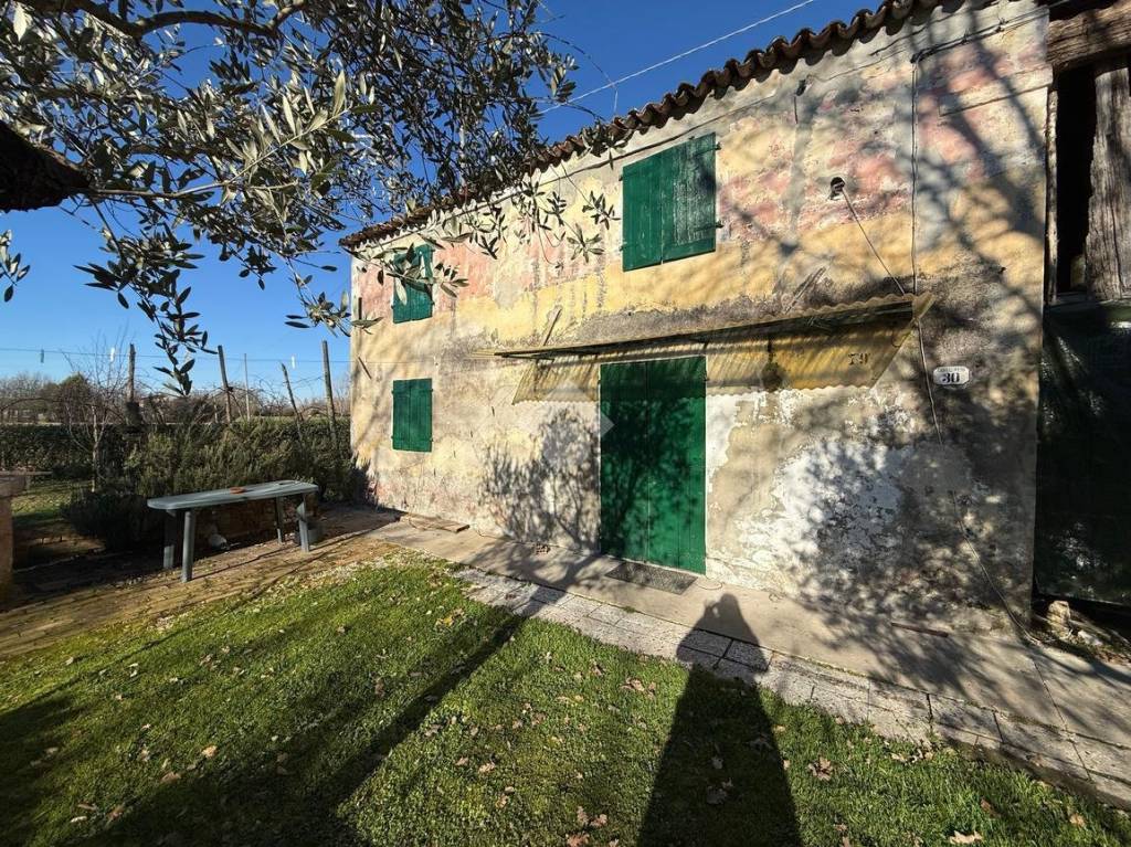 immagine annuncio 6 di 12