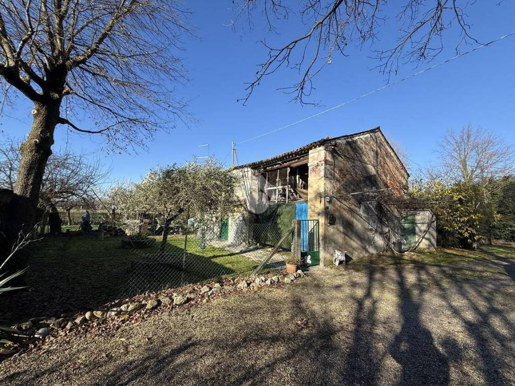 immagine annuncio 9 di 12